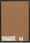 Rhaphoneis japonica Castr. (de-Toni-Nr.: Genus 78, Species 2821) Zeichnungen Sammlung Grunow Mappe 02995 (Herbarium_W_Grunow_drawings_Folder_02995)